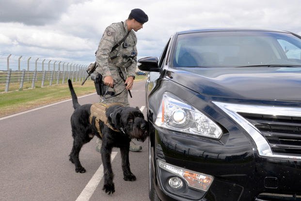 U.S. Air Force Staff Sgt. Alexandre Rogan, 100th Security Forces Squadron Military Working Dog trainer, and MWD Brock inspect a vehicle in response to a simulated security incident during an exercise at RAF Mildenhall, England, June 20, 2018. (U.S. Air Force photo by Tech. Sgt. David Dobrydney)