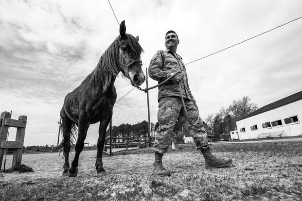 U.S. Air Force Staff Sgt. Cody Wisley, 83rd Network Operations Squadron boundary protection supervisor, guides his horse, Steel, at Joint Base Langley-Eustis, Virginia. Wisley visits Steel as often as he can because Steel helps relieve stress when Wisley hangs out and works with him. (U.S. Air Force/Areca T. Bell)
