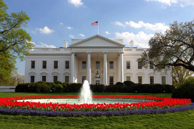 Colorful flowers around the fountain in front of the White House (Photo: Teddy Yoshida/National Science Foundation)