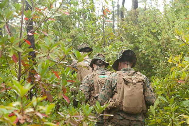 FILE PHOTO -- U.S. Marines navigate their way through forest grounds using the land navigation instruction given by their combat instructors, Camp Geiger, N.C., Oct. 10, 2013. (U. S. Marine Corps/Cpl. Maricela Veliz)