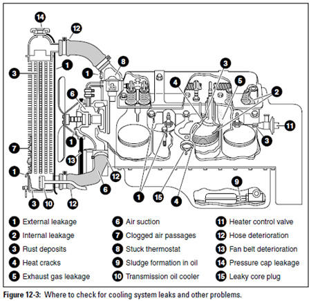 Figure 12-3: Where to check for cooling system leaks and other problems.
