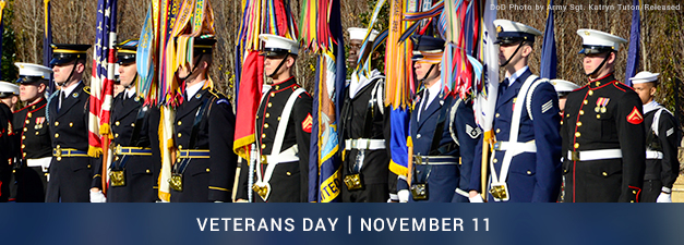 Image result for veterans day