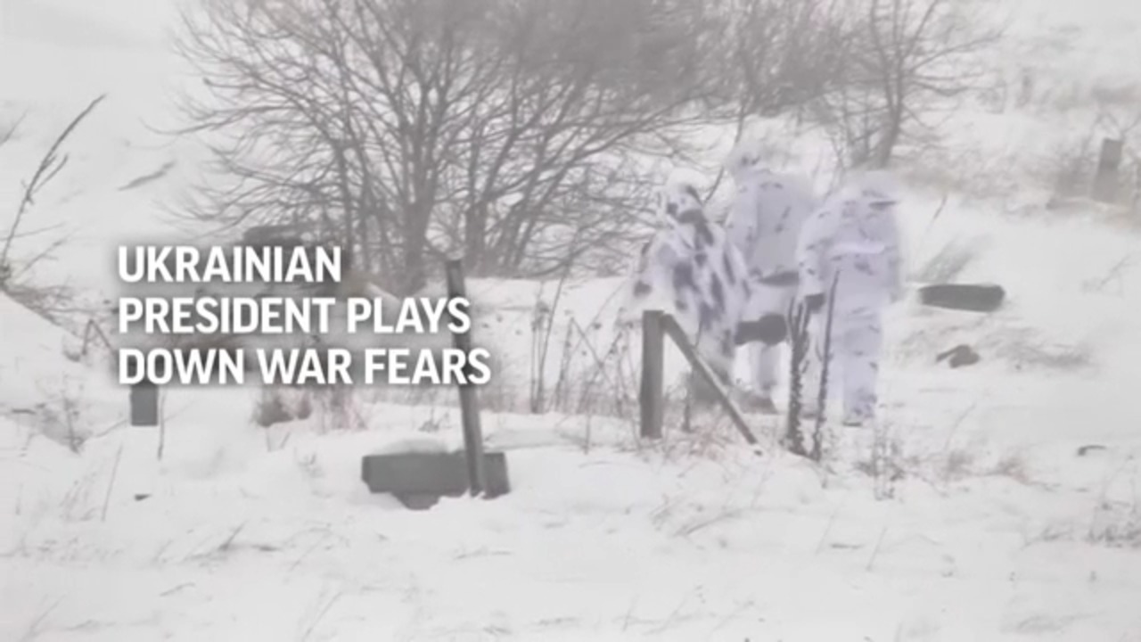 Ukrainian President Plays Down War Fears