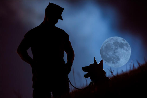 U.S. Marine Corps Lance Cpl. Hunter Gullick, dog handler, Provost Marshal's Office, K9 Section, Marine Corps Base, Camp Smedley D. Butler, poses with his Military Working Dog (MWD) while training aboard Kadena Air Base, Okinawa, Japan, Oct. 5, 2017. (U.S. Marine/Rebecca L. Floto)