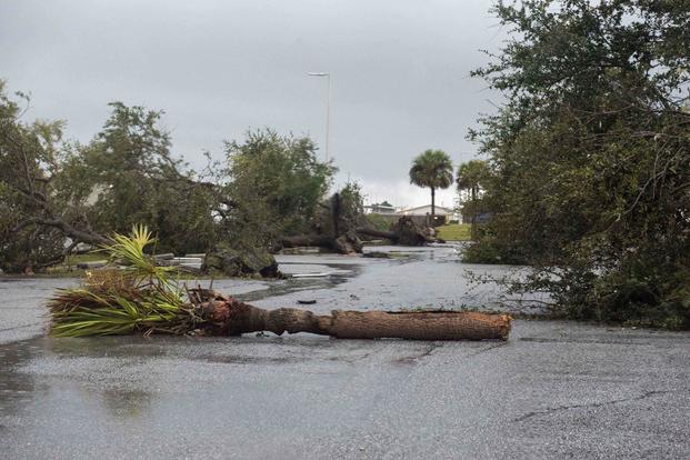 Trees are fallen at Naval Submarine Base Kings Bay as the result of a tornado that touched down on Sunday evening. (U.S. Navy/Mass Communication Specialist Seaman Aaron Xavier Saldana)