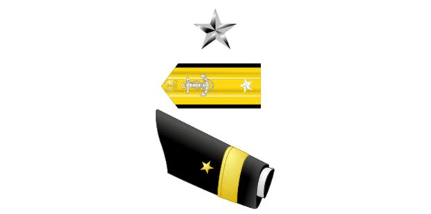 Rear Admiral Lower Half insignia