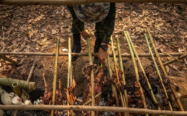 A Royal Thai Marine cooks various animals over a fire pit as part of jungle survival training during exercise Cobra Gold at Ban Chan Krem, Feb. 14, 2019, in Chanta Buri, Kingdom of Thailand. (Matthew J. Bragg/Marine Corps)