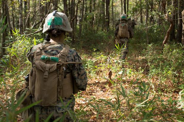 Marines from Delta Company, Infantry Training Battalion (ITB), School of Infantry-East (SOI-E) patrol their way to an objective during the Infantry Integrated Field Training Exercise aboard Camp Geiger, North Carolina, Nov. 15, 2013. Delta company is the first company at ITB with female students as part of a measured, deliberate and responsible collection of data on the performance of female Marines when executing existing infantry tasks and training events, the Marine Corps is soliciting entry-level female