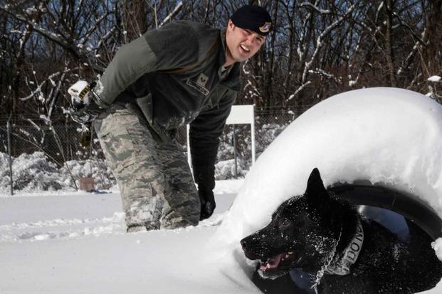 Sgt. Charles Cornacchio dog handler