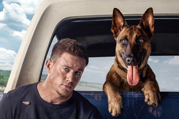 What Channing Tatum's New Movie 'Dog' Gets Right About Military Working  Canines 