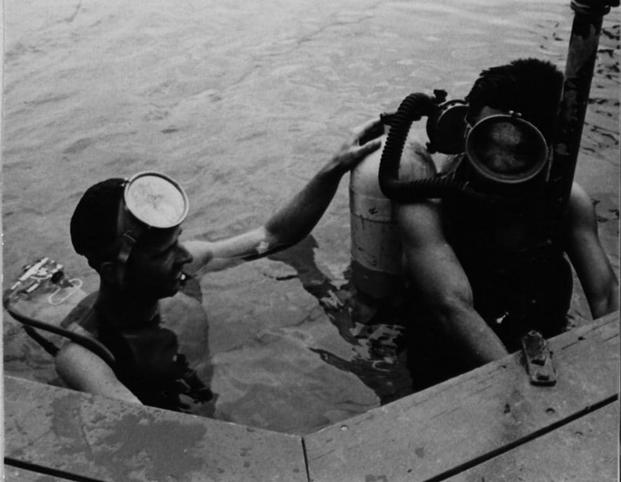 Vietnam Divers