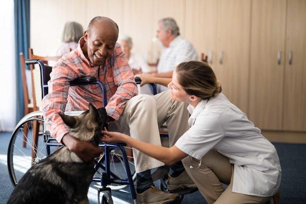 Elderly man in care home with canine friend