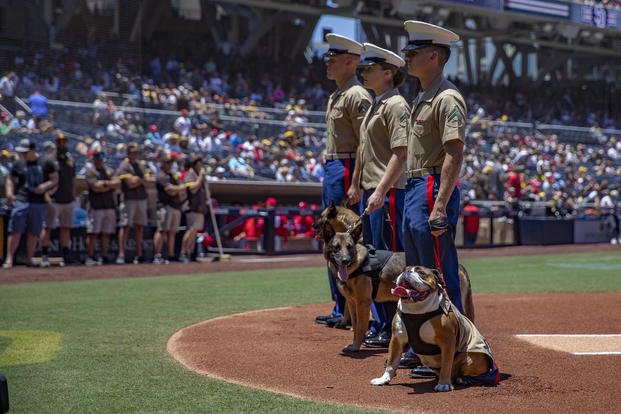 Marines enjoy the Padres game