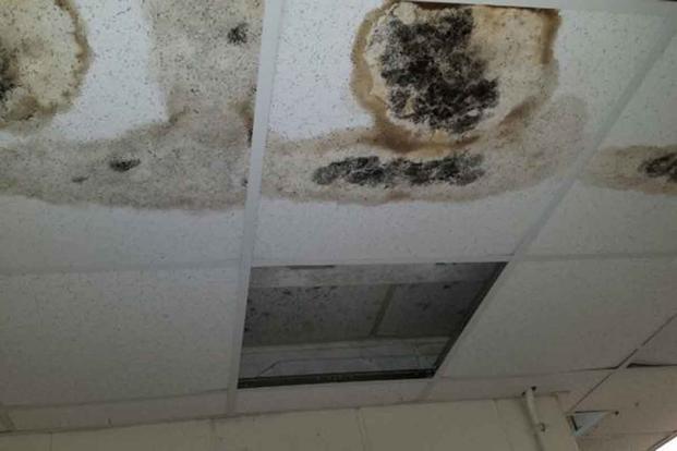 If your military housing is contaminated, who pays your mold