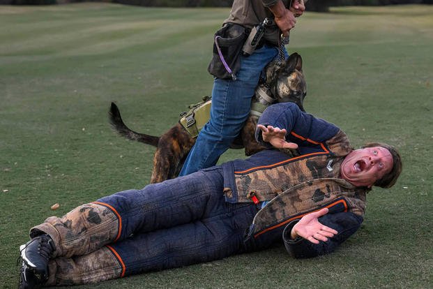 Former NHL player Jeremy Roenick reacts after volunteering to put on a bite suit and get attacked by a trained war dog during a demonstration at Coto de Caza on Monday, Nov. 21, 2022. The show was part of a fundraising golf tournament to raise money for retired war dogs.