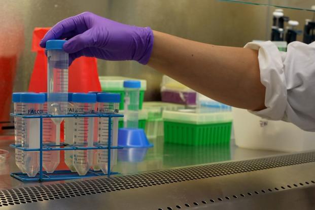 Hand of microbiologist at the U.S. Naval Research Laboratory