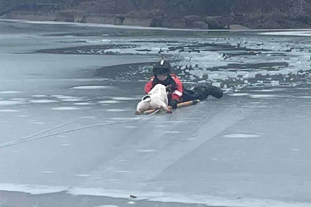 A member of the U.S. Coast Guard pulls a dog out of the Detroit River.