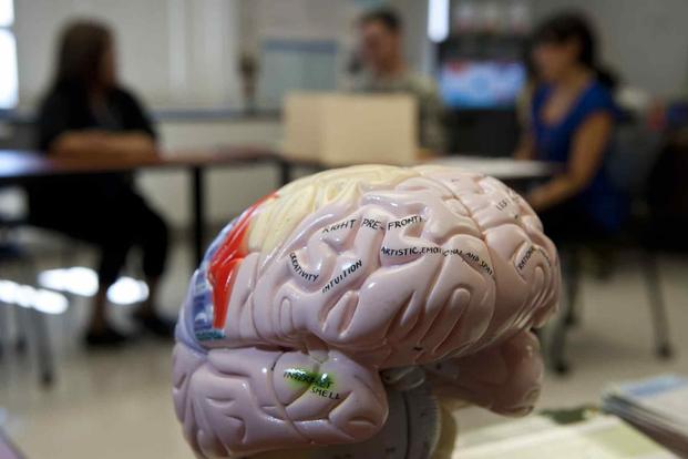 Model of a brain at Traumatic Brain Injury Open House event
