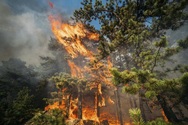 A fire burns at the Warren Grove Air To Ground Range in N.J.