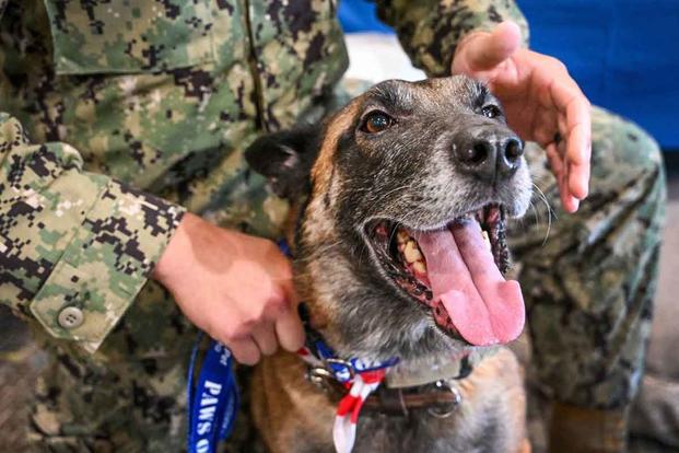 Working dog Don, or Donnie and his former handler Carlos Aranda