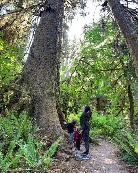 Taylor Hobbs with her two children in Washington’s Hoh rainforest