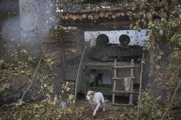 A dog reacts as self-propelled artillery howitzer fires toward Russian positions.