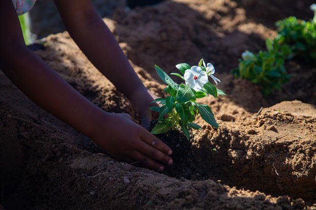 A child places a flower into the soil at the Child Development Center (CDC) during an Earth Day celebration on Marine Corps Air Station Yuma, Arizona