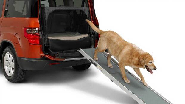 honda-element-dog-friendly-2-2