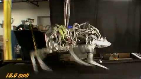 Military robot cheetah top