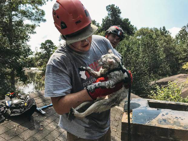 Team Rubicon Disaster Relief