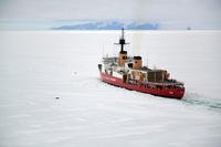 The crew of the Coast Guard Cutter Polar Star operates near two seals off the shore of Antarctica, Jan. 16, 2017. (U.S. Coast Guard photo/David Mosley)