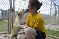 Damage Controlman Fireman Anna Cornish, assigned to the submarine tender USS Frank Cable, plays with a dog at Guam Animals in Need shelter during a community relations event in Yigo on Feb. 9, 2018. (U.S. Navy photo by Mass Communication Specialist 3rd Class Heather C. Wamsley)