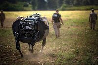 Lance Cpl. Timothy Knaggs (center), a team leader with India Company, 3rd Battalion, 3rd Marine Regiment, walks ahead of the Legged Squad Support System, acting as the &quot;follow&quot; for the machine at Marine Corps Training Area Bellows, June 19, 2014. (U.S. Marine Corps/Matthew Callahan)