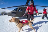 A Vail ski patroller and avalanche rescue dog meet and greet the public alongside a Colorado Army National Guard UH-60 Black Hawk helicopter.