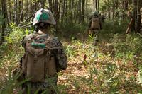 Marines from Delta Company, Infantry Training Battalion (ITB), School of Infantry-East (SOI-E) patrol their way to an objective during the Infantry Integrated Field Training Exercise aboard Camp Geiger, North Carolina, Nov. 15, 2013. Delta company is the first company at ITB with female students as part of a measured, deliberate and responsible collection of data on the performance of female Marines when executing existing infantry tasks and training events, the Marine Corps is soliciting entry-level female