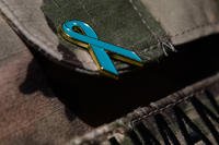 Sexual Harassment Assault Response and Prevention Program pin