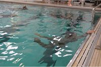 Soldiers at Joint Base Lewis-McChord undergo swim test.