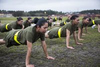 pull, push and squat workout pyramids