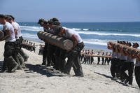 SEAL candidates take part in log physical training.