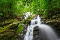 National Parks to Visit This Year