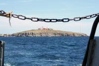 Snake Island, also known as Zmiinyi Island located in the Black Sea.