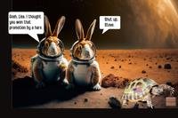 my dream job military essay Bunnies in space suits envy tortoise who won the job