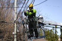 A utility worker works on lines after a storm in Detroit.