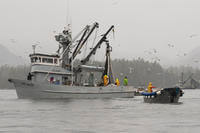 Coast Guard Boat Capsized