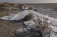 foam along the shoreline of Holloman Lake near Alamogordo, N.M.