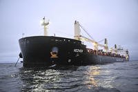 The cargo ship Vezhen is anchored outside Karlskrona, Sweden