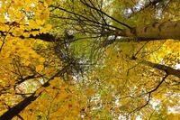 A Virginia woman pleaded guilty Tuesday to killing a man in the Cuyahoga Valley National Park.