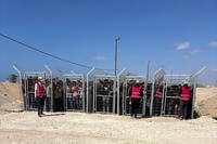 Palestinians behind gates before entering a food distribution site