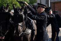 Caisson Detachment, 3d U.S. Infantry Regiment