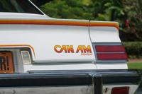 1977 pontiac lemans can am